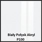 Biały Połysk Akryl P100